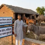 सरकार दे रही है गधा पालन पर ₹50 लाख — NLM Subsidy Scheme 2026